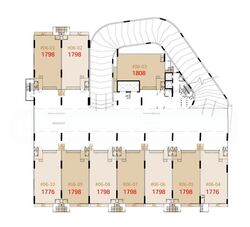 ct-foodchain photo thumbnail #8